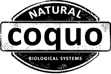 Natural Coquo